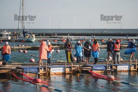 GWSC Gdynia Winter Swimming Cup 2025