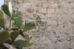 Malta w grudniu