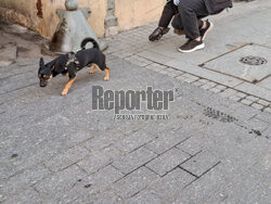 Reporter archiwum 2025 01