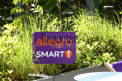 Spotkanie Allegro Smart
