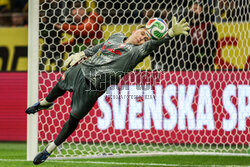 Baraże do MŚ: Szwecja - Polska