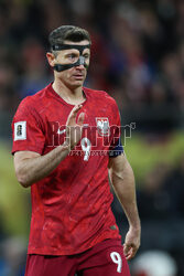 Baraże do MŚ: Szwecja - Polska