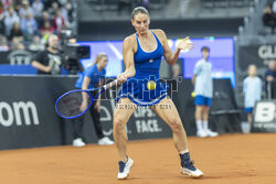 Billie Jean King Cup: Polska - Ukraina