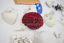 Dzień otwarty Gdańskiego Uniwersytetu Medycznego