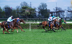 Rozpoczyna się sezon wyścigowy na Torze Służewiec w Warszawie
