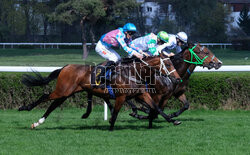 Rozpoczyna się sezon wyścigowy na Torze Służewiec w Warszawie