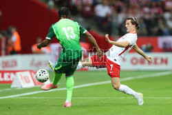 Mecz towarzyski: Polska - Nigeria