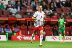 Mecz towarzyski: Polska - Nigeria