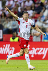 Mecz towarzyski: Polska - Nigeria