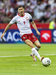 Mecz towarzyski: Polska - Nigeria