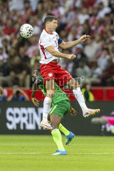 Mecz towarzyski: Polska - Nigeria