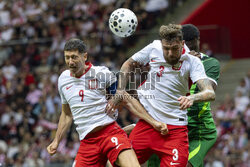 Mecz towarzyski: Polska - Nigeria