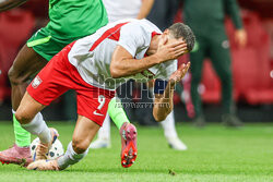 Mecz towarzyski: Polska - Nigeria