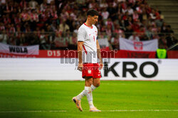 Mecz towarzyski: Polska - Nigeria