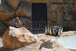 Nowy pawilon pingwinów przylądkowych w stołecznym zoo