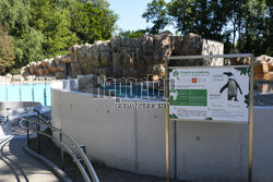 Nowy pawilon pingwinów przylądkowych w stołecznym zoo
