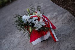 Ruch Obrony Granic Roberta Bąkiewicza w Berlinie