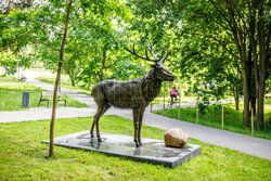 Nowa rzeźba Jelenia Szlachetnego w centrum Olsztyna