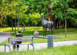 Nowa rzeźba Jelenia Szlachetnego w centrum Olsztyna
