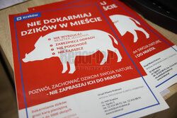 Konferencja Łukasza Gibały w Krakowie