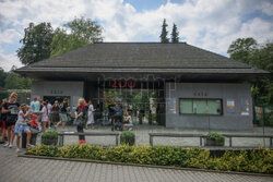 Kawiarnia z widokiem na wybieg słoni w krakowskim zoo