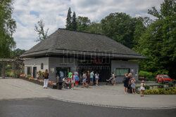 Kawiarnia z widokiem na wybieg słoni w krakowskim zoo