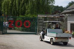 Kawiarnia z widokiem na wybieg słoni w krakowskim zoo