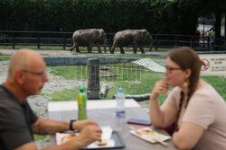 Kawiarnia z widokiem na wybieg słoni w krakowskim zoo