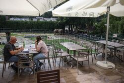Kawiarnia z widokiem na wybieg słoni w krakowskim zoo
