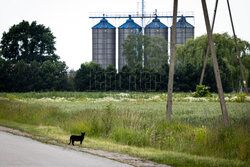 Wywłaszczenia i wyburzenia pod CPK